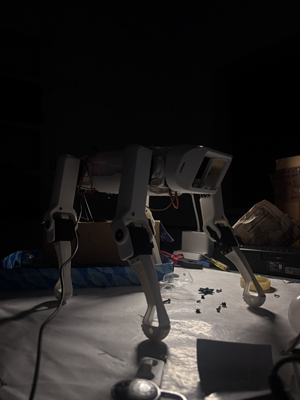 Smart Guard Robot